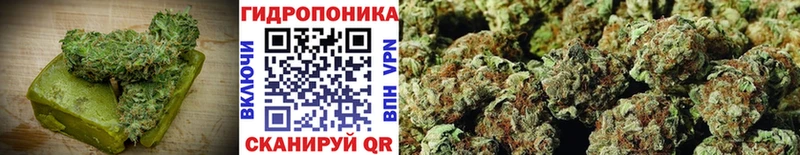 Cannafood конопля это как зайти Медвежьегорск