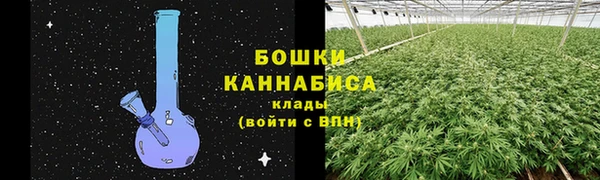 крисы Касимов