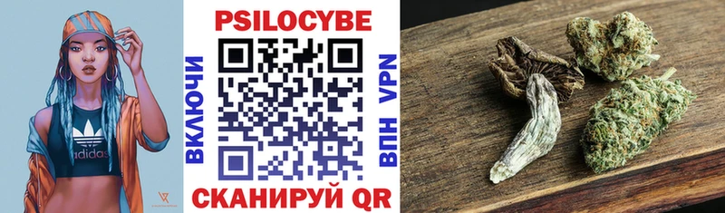 Галлюциногенные грибы Psilocybe  МЕГА зеркало  маркетплейс Telegram  Медвежьегорск 